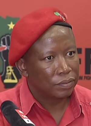 Julius Malema Height How Tall Is Julius Malema