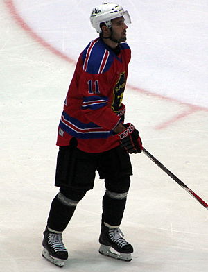 Damien Fleury