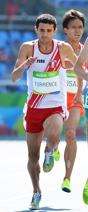 David Torrence