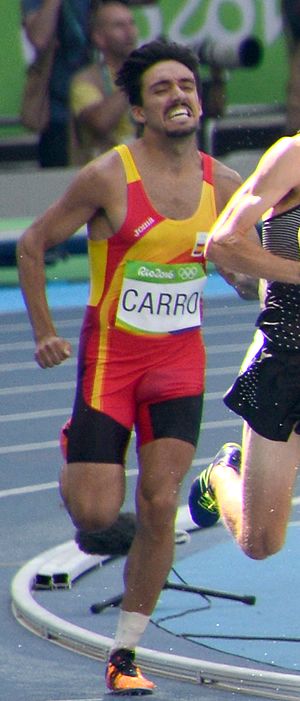 Fernando Carro