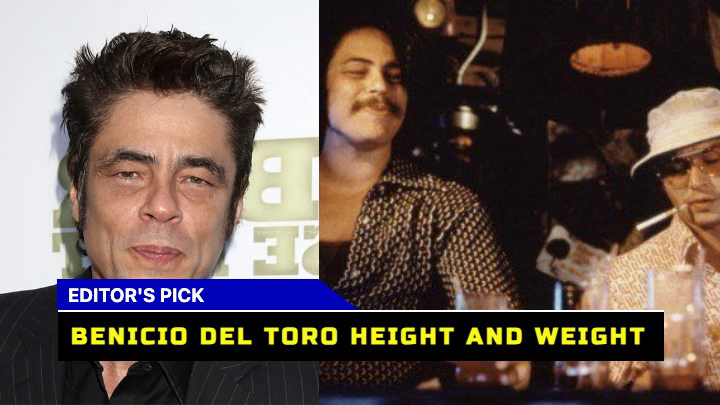 Is Benicio del Toro Really 6 feet 2 inches? Exploring the Puerto Rican Actor Physique