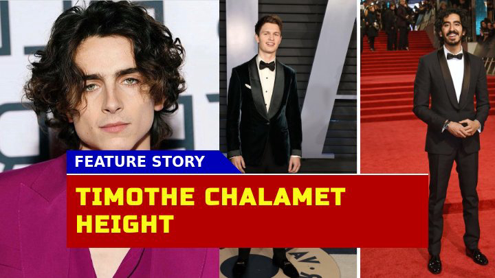 Is Timothée Chalamet Really 5’10? The Height Debate Explained