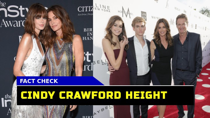 How Significant Is Cindy Crawford Height In Her Iconic Modeling Career   Cindy Crawford Height 