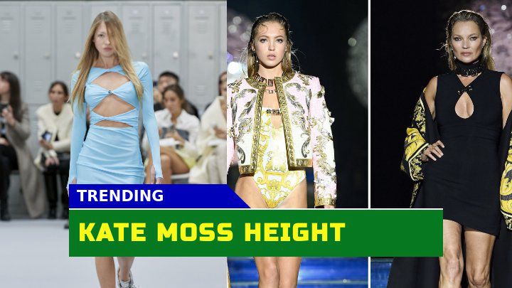 Unlocking the Enigma How Tall is Kate Moss Really?